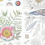 How to Draw Foliage: Master the Art of Nature’s Details Easily